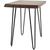 Natures Edge Brown Accent Table