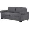Cortland Curious Charcoal Queen Sleeper -furniture 6000050 AMLE AFL OL