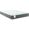 Sealy Lights Out III Queen Mattress -furniture QK1025656 SEAL PRI OL