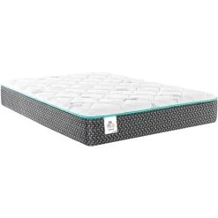 Sealy Lights Out III Queen Mattress