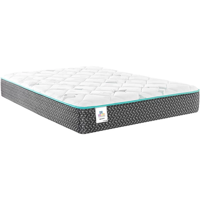 Sealy Lights Out III Queen Mattress 3 Sealy Lights Out III Queen Mattress