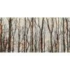 Into The Woods Wall Art -furniture QK1029552 ARTE PRI OL