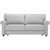 Casey Light Gray Queen Sleeper Loveseat -furniture QK1040477 LUON PRI OL