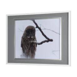 Owl Gray Wall Art -furniture QK1060985 MEFD LF1 RM