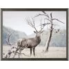 Alert Deer Wall Art -furniture QK1062805 NORH PRI OL