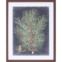 Dramatic Pine II Wall Art